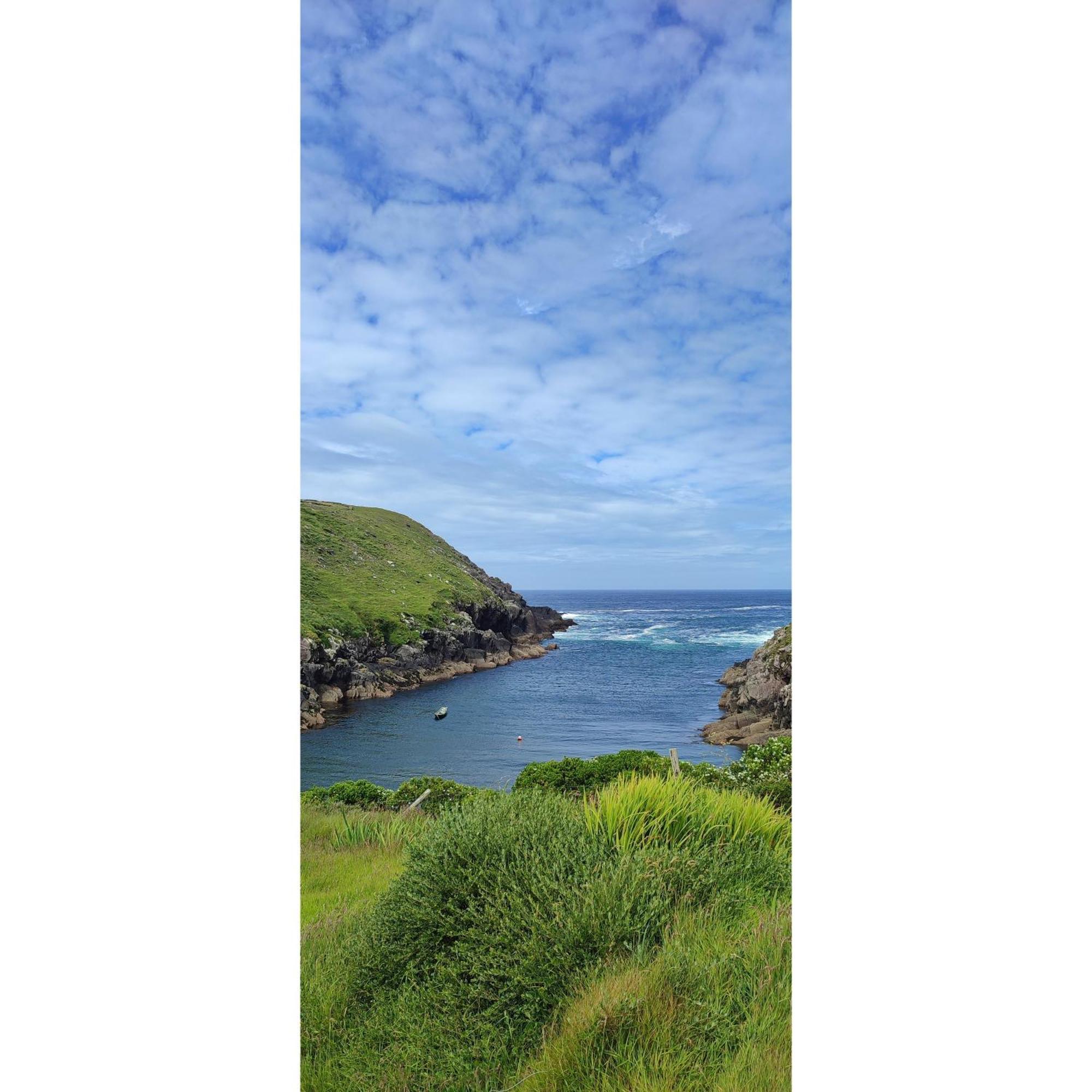 Granville House Apartments And Garden Suites Ballyferriter Bagian luar foto
